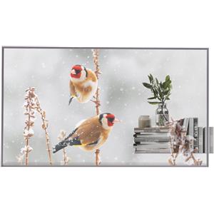 LG 55EW5P-M Monitor Digital Signage 55" OLED 1920x1080 Full HD 600 cd/m² Trasparente