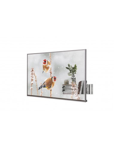 LG Monitor messaggi OLED 55EW5P-M